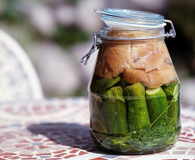 Common Fermented Foods