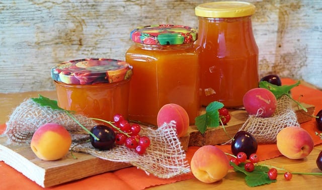 fermented foods benefits
