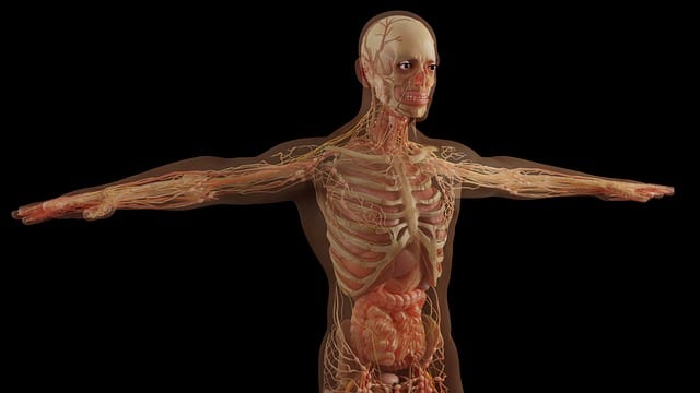 bone health