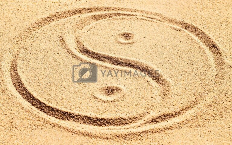 Qi Gong or Nei Gong: Which Practice Suits You Best?