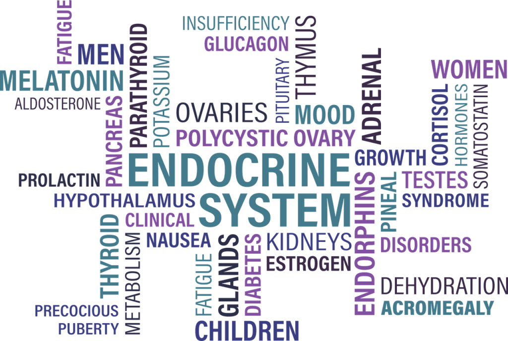 thyroid, endocrine, diabetes-1405039.jpg