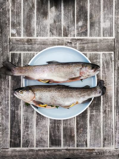 Where Can You Find Collagen?