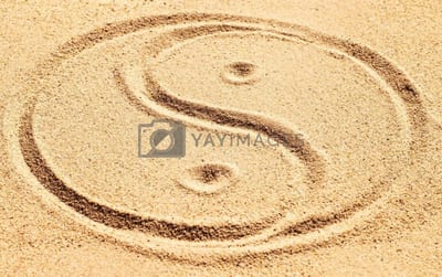 Qi Gong or Nei Gong: Which Practice Suits You Best?