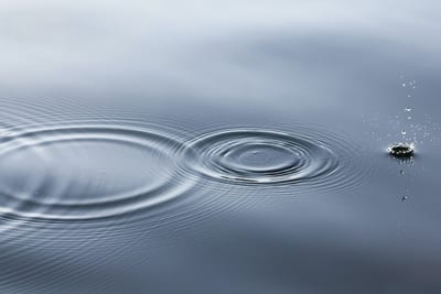 The Way of Water