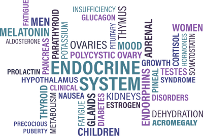 thyroid, endocrine, diabetes-1405039.jpg