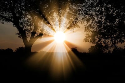 5-incredible-benefits-of-sunlight