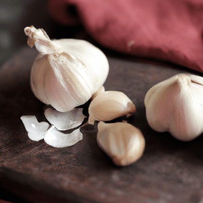 garlic health benefits