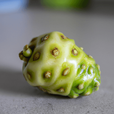 noni fruit