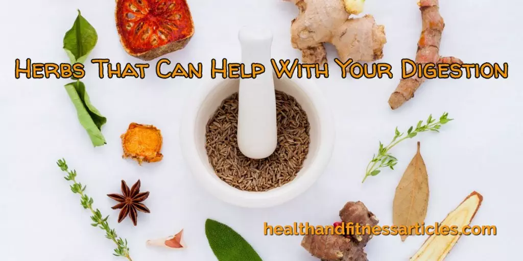 Herbs That Can Help With Your Digestion