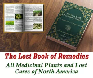 book of lost remedies