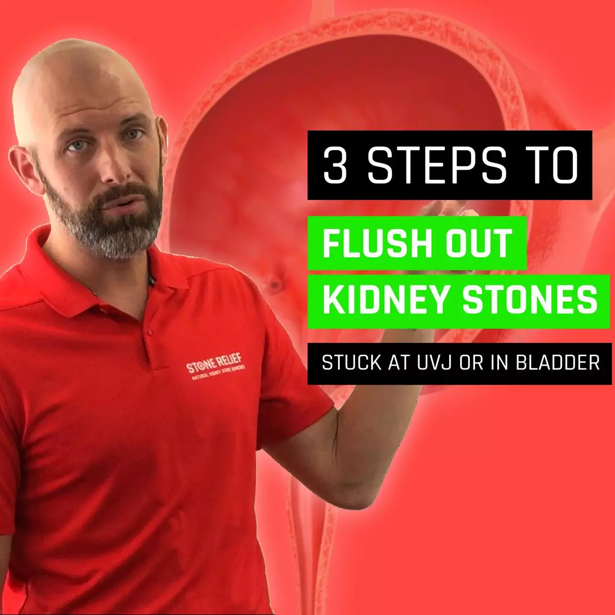 Natural Ways to Flush Your Kidneys and Bladder