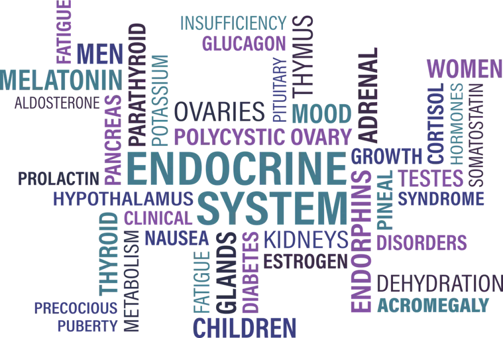 thyroid, endocrine, diabetes-1405039.jpg