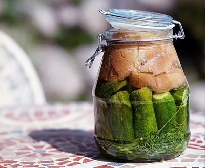 Common Fermented Foods