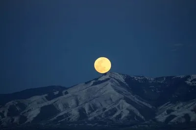 Unlocking Nature's Energy: The Fascinating World of Electroculture Gardening