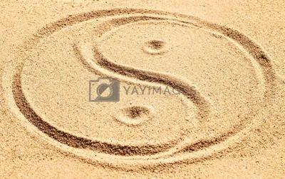 Qi Gong or Nei Gong: Which Practice Suits You Best?