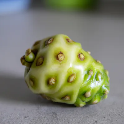 noni fruit